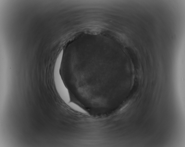 X0000085230818200703301723