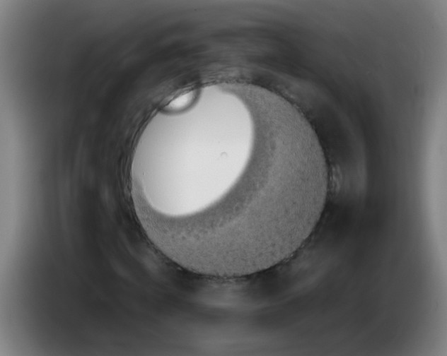 X0000085230820200703301723