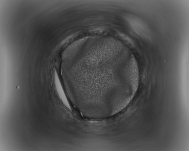 X0000085230821200703301723