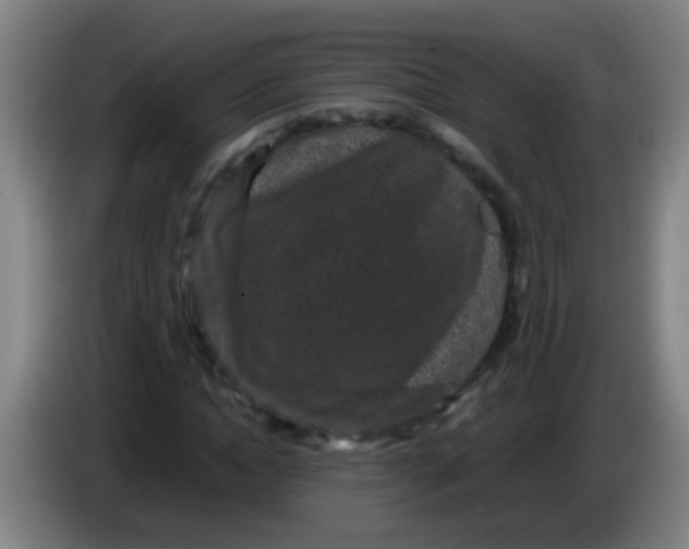 X0000085230822200703301723