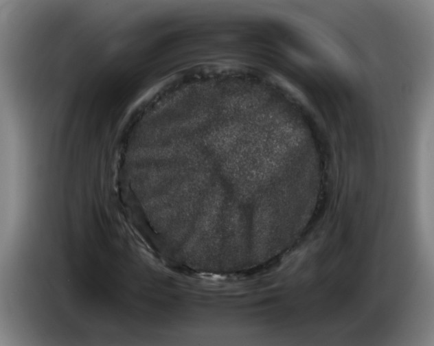 X0000085230823200703301723
