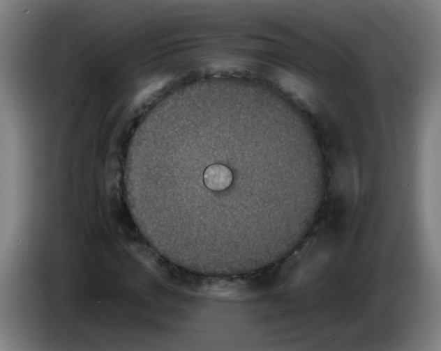 X0000085230824200703301723