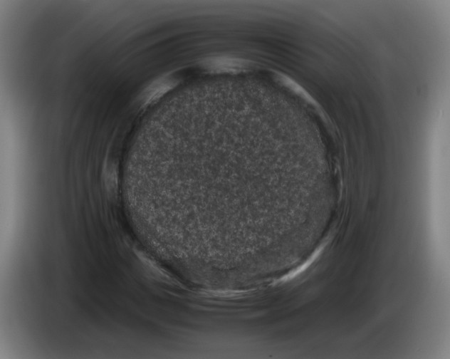 X0000085230825200703301723
