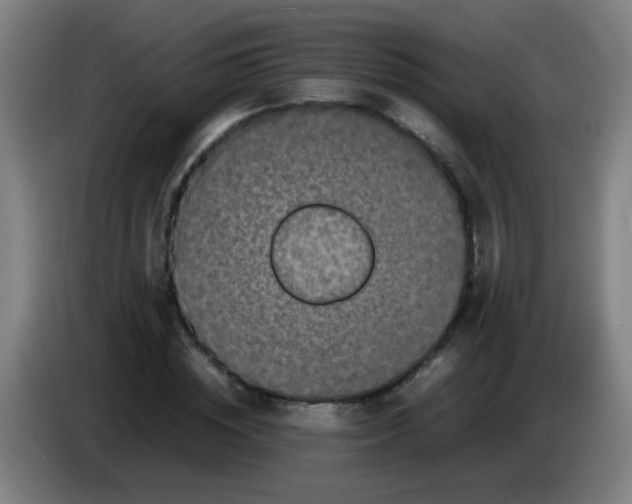 X0000085230828200703301723