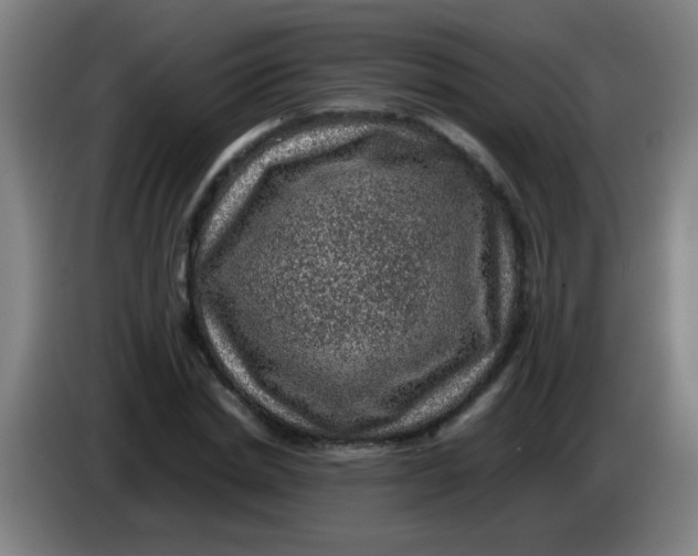 X0000085230830200703301723