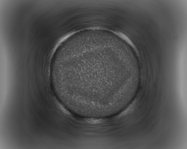 X0000085230831200703301723