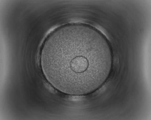 X0000085230832200703301723