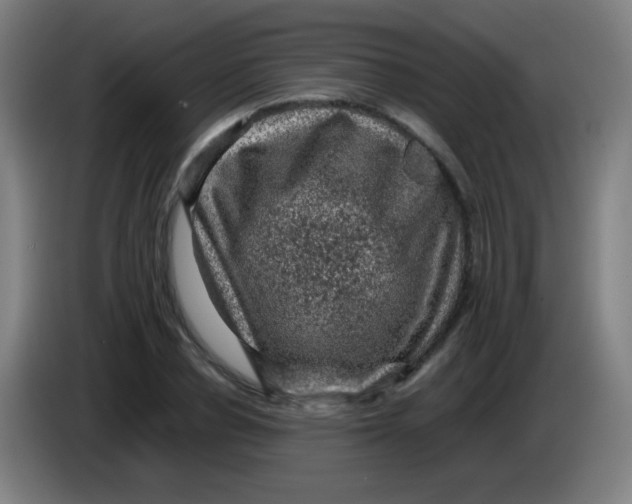 X0000085230834200703301723
