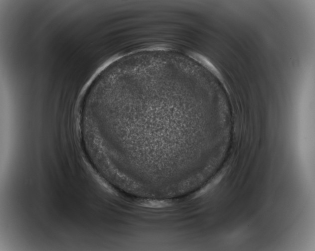 X0000085230835200703301723
