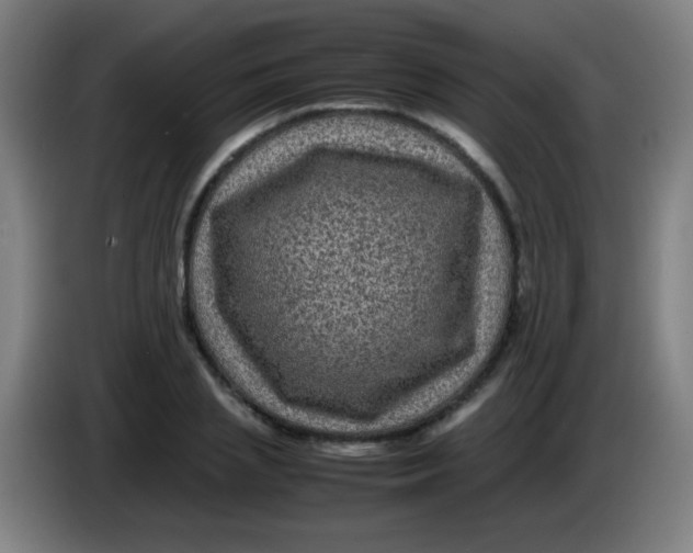 X0000085230837200703301723