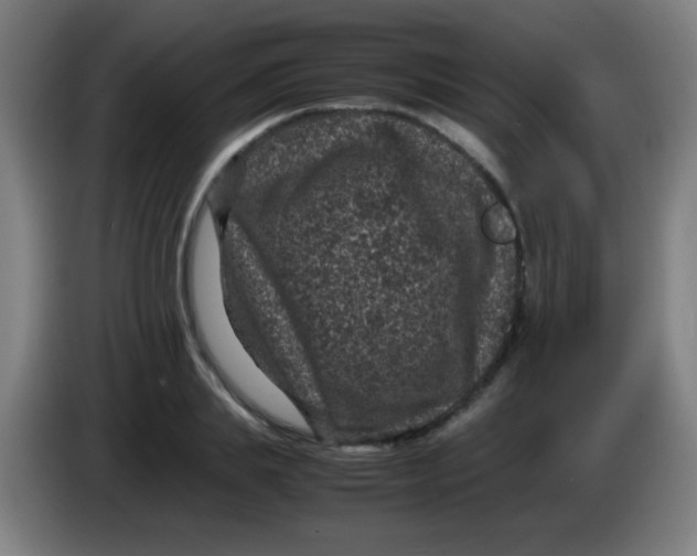 X0000085230839200703301723