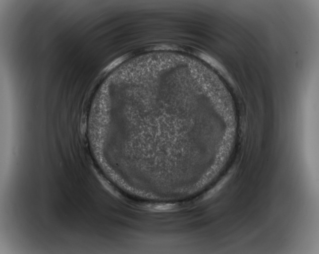 X0000085230841200703301723