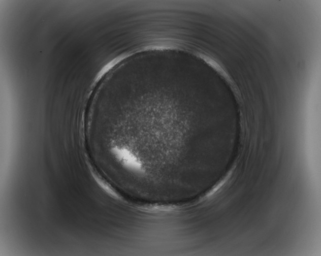 X0000085230842200703301723