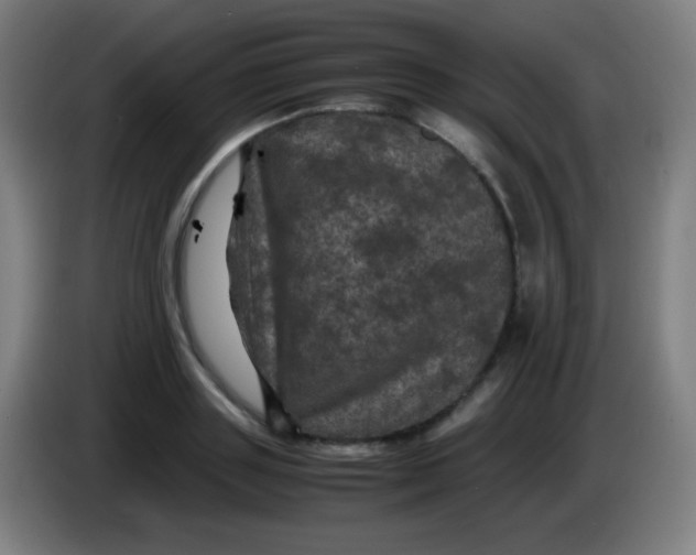 X0000085230843200703301723