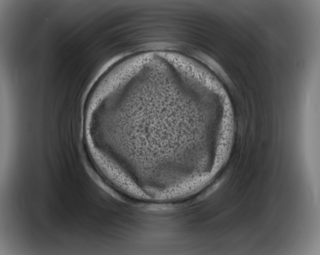 X0000085230844200703301724