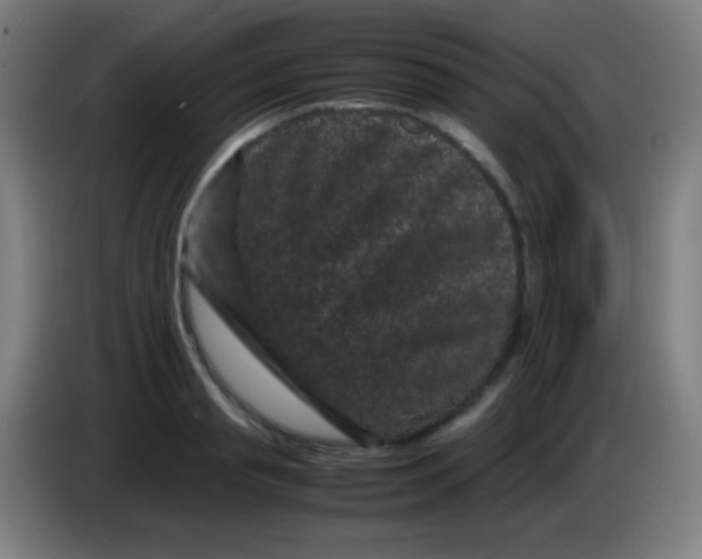 X0000085230845200703301724