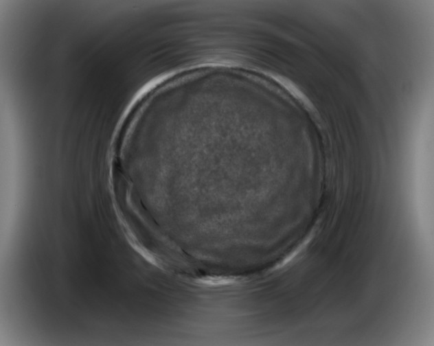 X0000085230846200703301724