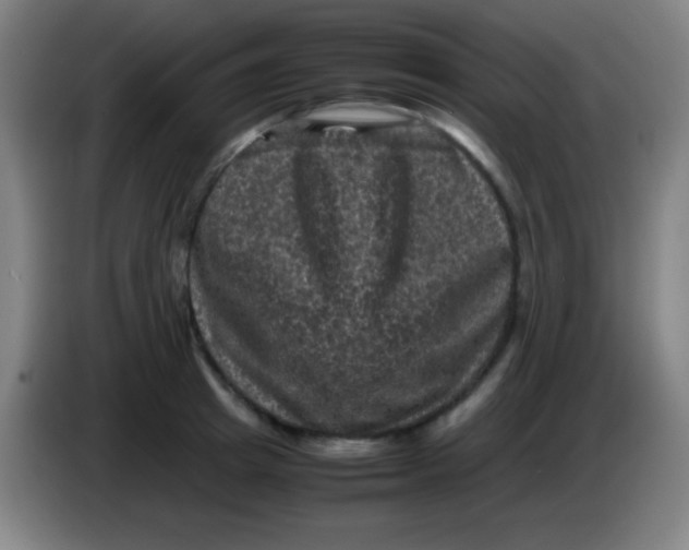 X0000085230849200703301724