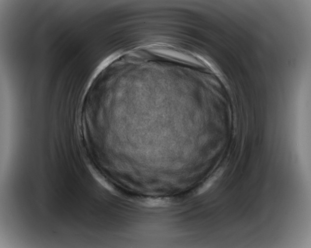 X0000085230850200703301724