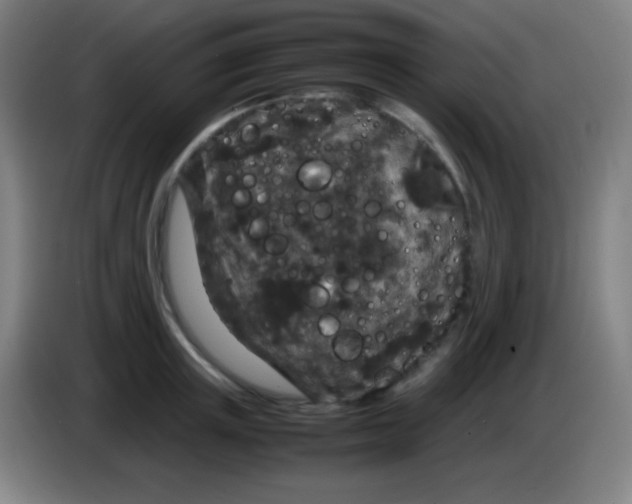 X0000085230851200703301724