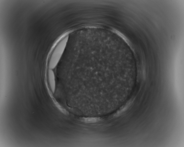 X0000085230853200703301724