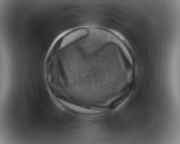X0000085230854200703301724