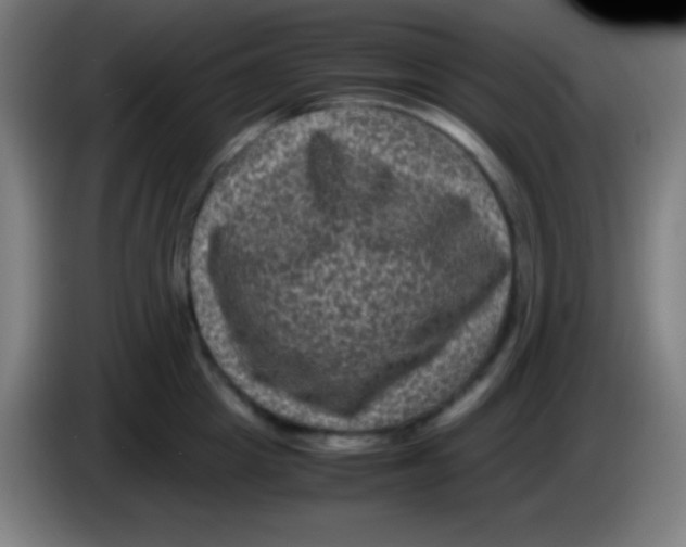 X0000085230857200703301724