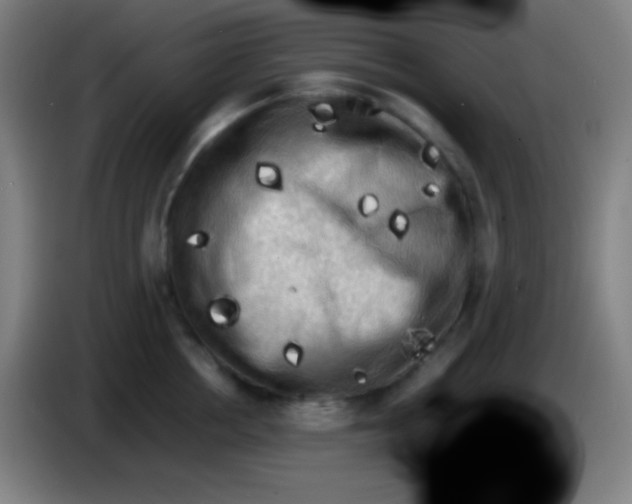 X0000085230858200703301724