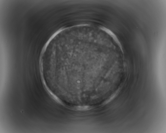 X0000085230859200703301724