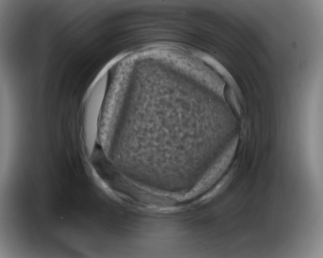 X0000085230860200703301724
