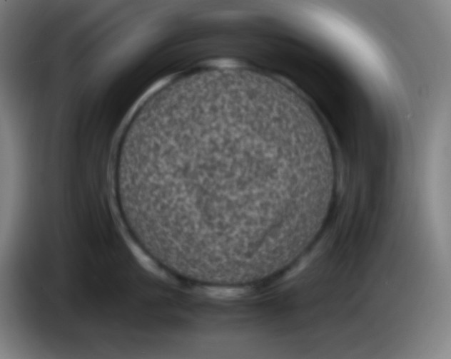 X0000085230861200703301724