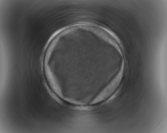 X0000085230862200703301724