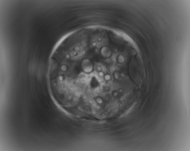 X0000085230863200703301724