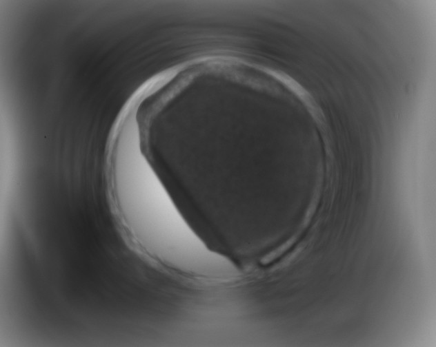 X0000085230864200703301724