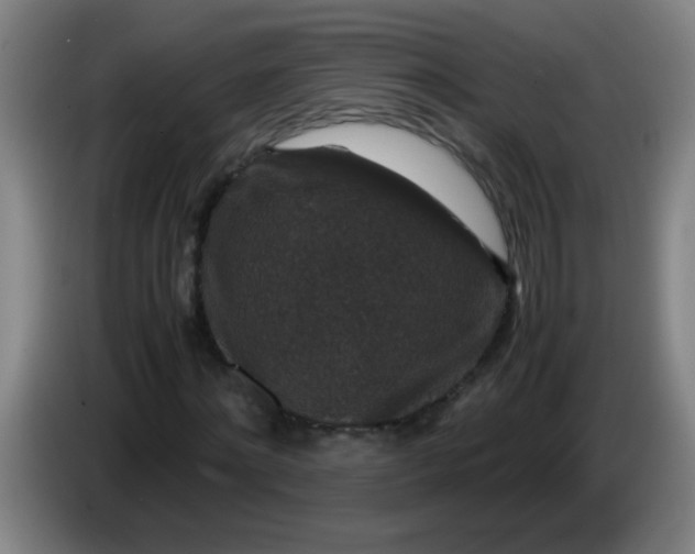 X0000085230868200703301723