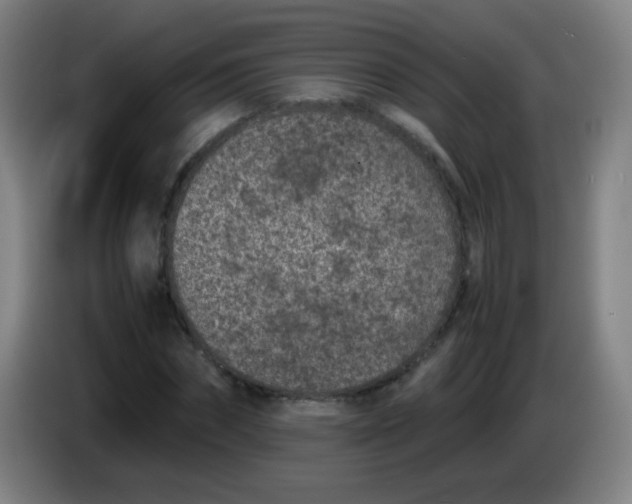 X0000085230874200703301723