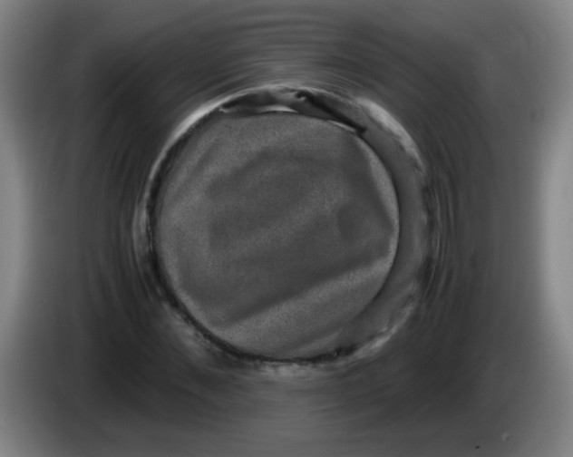 X0000085230876200703301723