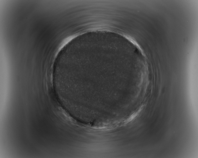 X0000085230877200703301723
