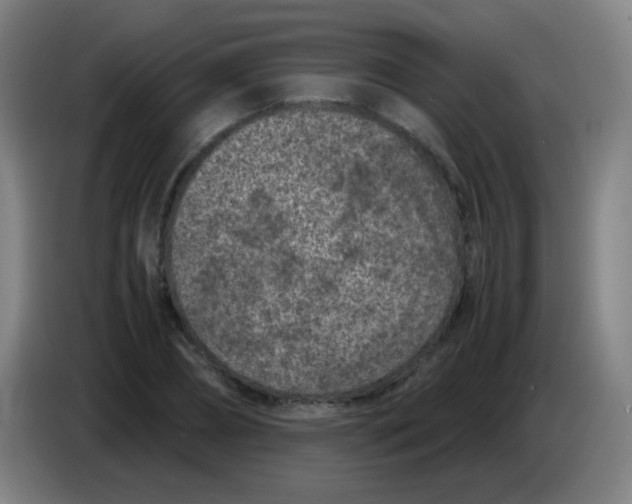 X0000085230882200703301723