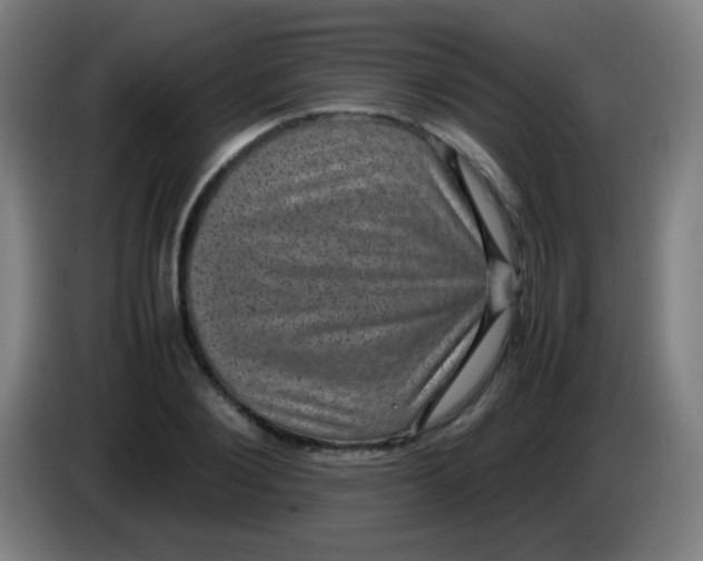 X0000085230884200703301723