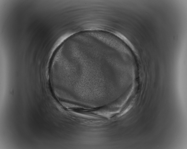 X0000085230885200703301723