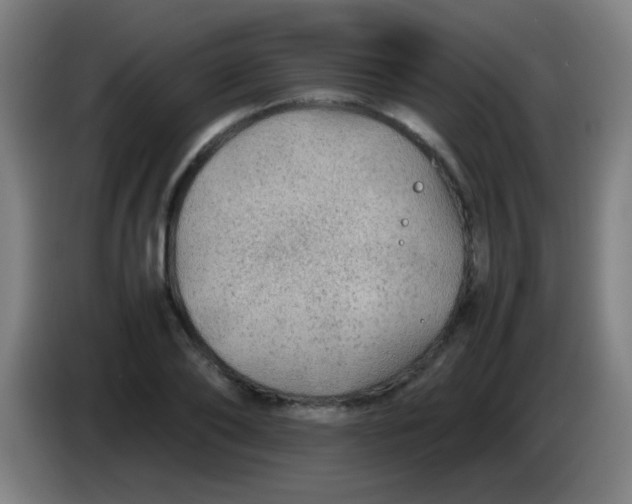 X0000085230886200703301723