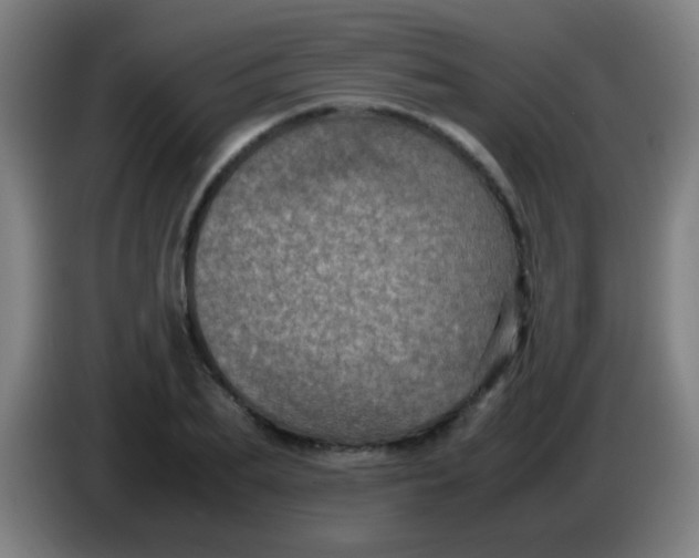 X0000085230887200703301723
