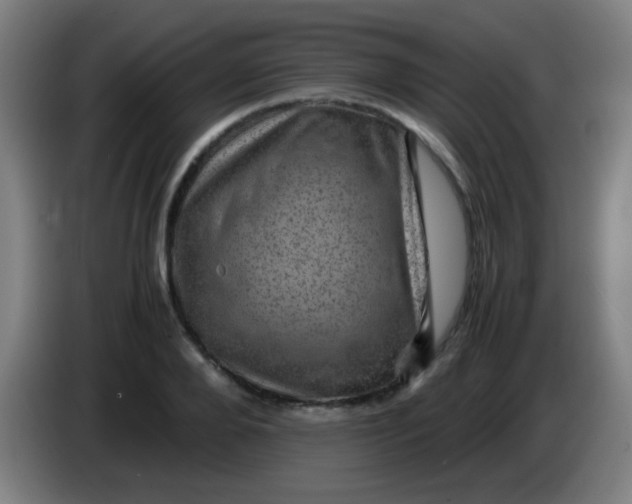 X0000085230888200703301723