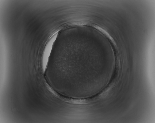 X0000085230889200703301723