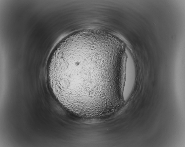 X0000085230891200703301723