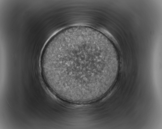 X0000085230892200703301723