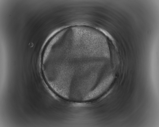X0000085230894200703301723