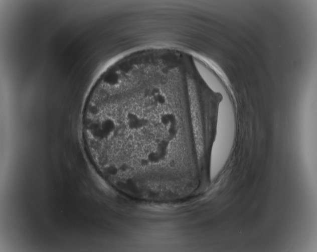 X0000085230895200703301723