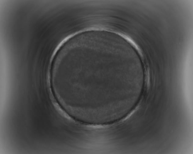 X0000085230896200703301723